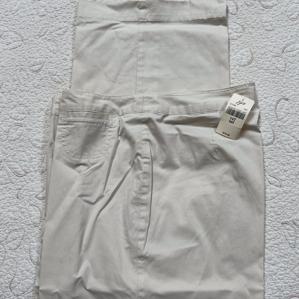 NWT j. Jill wide leg chinos